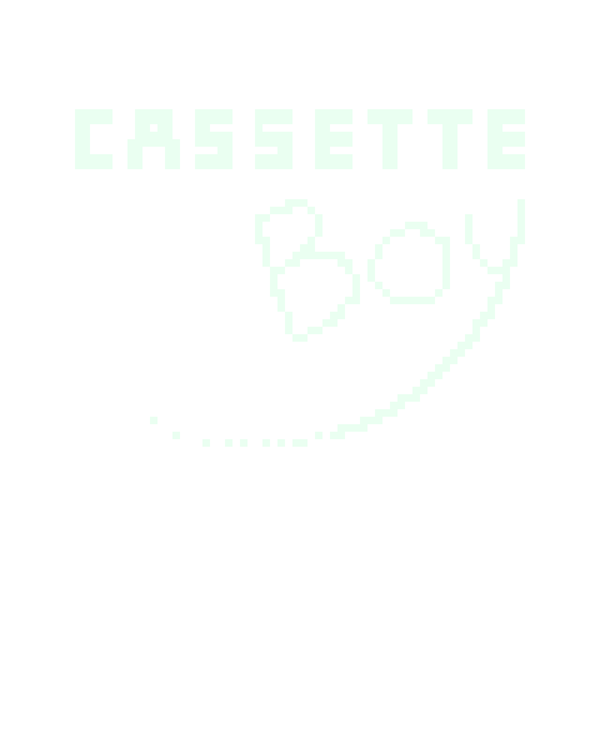 CASSETTE BOY